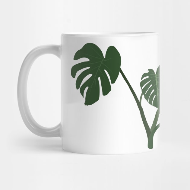 Monstera deliciosa by daidai